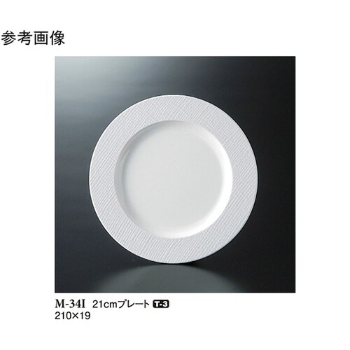 21cm プレート トカーニ 10個入