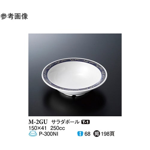 サラダボール ゴールドウィッシュ 10個