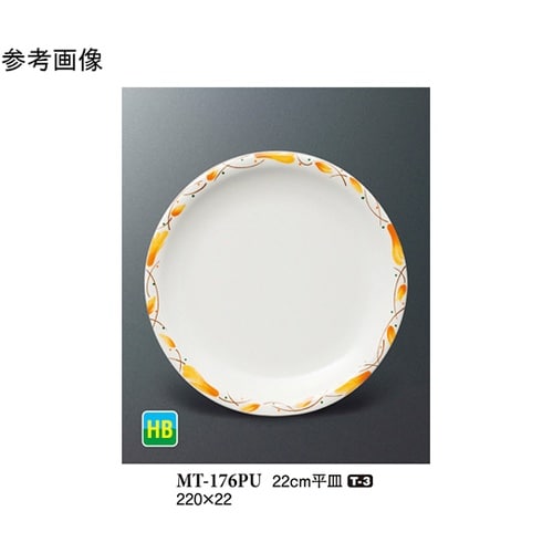 22cm 平皿 ピュール 10個入 MT