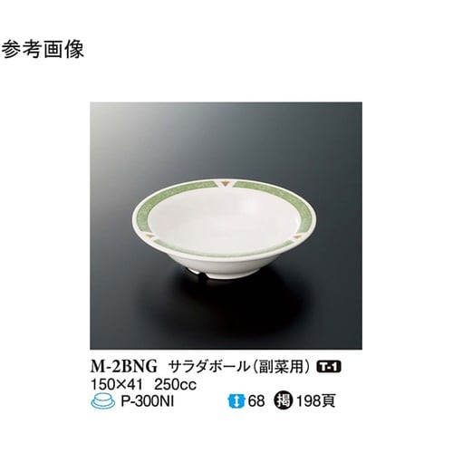 サラダボール バランスナビ 10個入 M