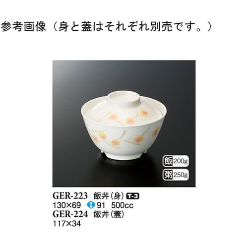 飯丼(身) ハミングone 130×69