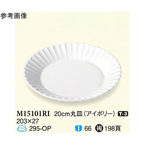 20cm 丸皿 アイボリー 60個入 M