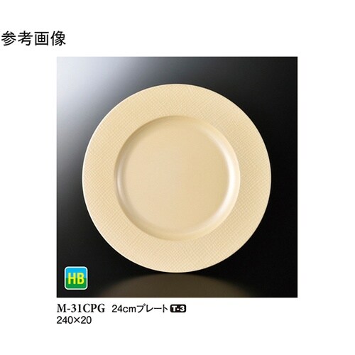 24cm プレート シャンパンゴールド