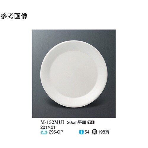 20cm 平皿 ミューズ 80個入 M−