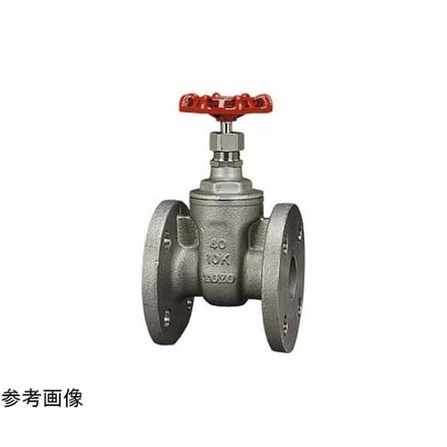 ステンレス ゲート(USF−N)呼び径1