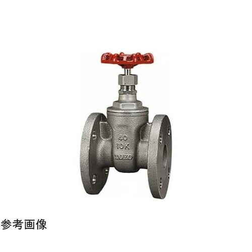 ステンレス ゲート(USF−N)呼び径2