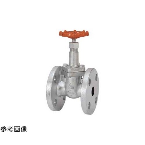 ダクタイル ゲート(10−DSRF−N)