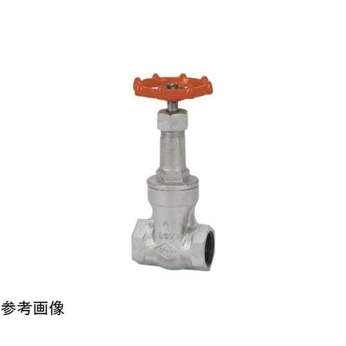 ダクタイル ゲート(10−DSR−N)呼