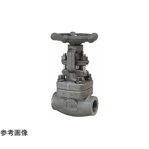 鍛鋼 ゲート(S800−SF−SR)呼び