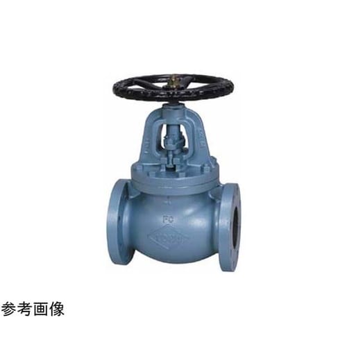 鋳鉄 グローブ(J10−FGF)呼び径1