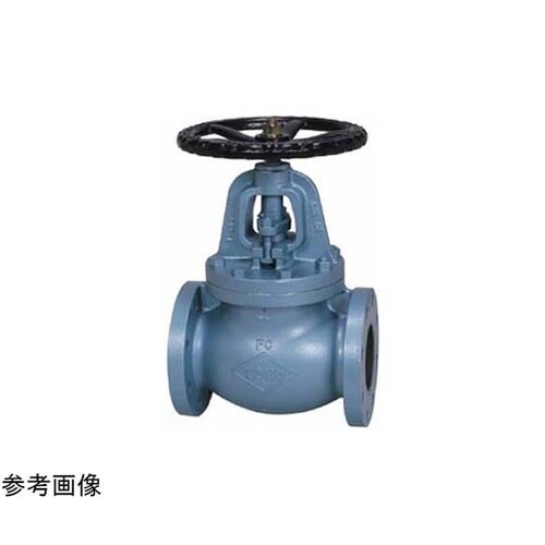 鋳鉄 グローブ(J10−FGF−S)呼び