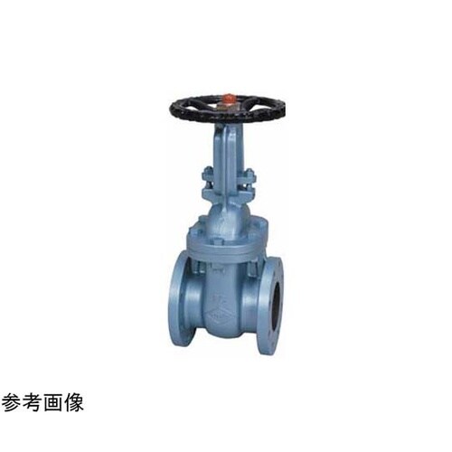 鋳鉄 ゲート(J10−FSRF−U)呼び