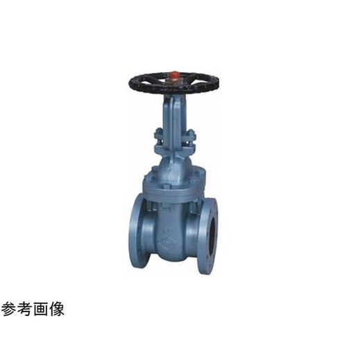 鋳鉄 ゲート(J5−FSRF)呼び径65