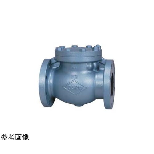 鋳鉄 チャッキ(J10−FNSF)呼び径