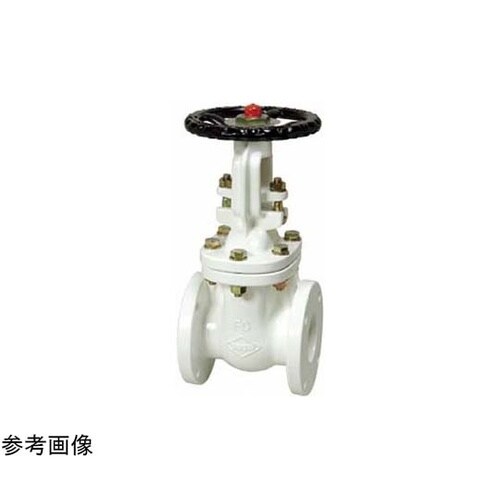 鋳鉄 ナイロンゲート(J10−FSRF−