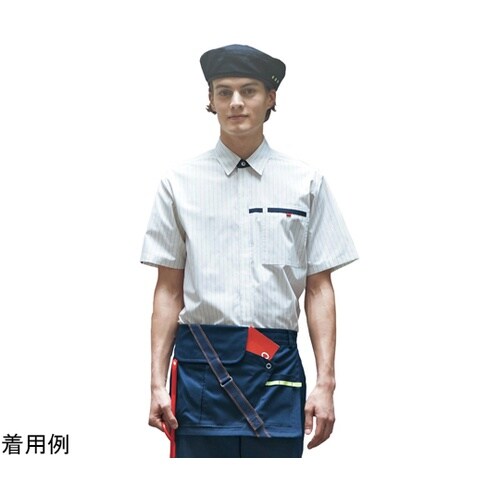 CAREAN 半袖シャツ VARIETY