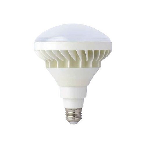 trad LED交換球 20W #316