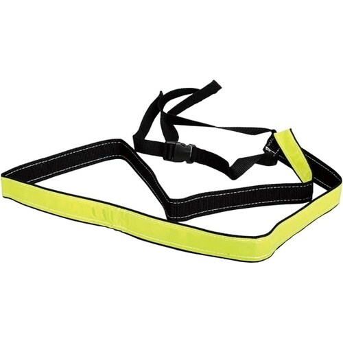 光るタスキ(サッシュバンド) RC350