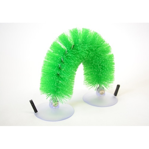 自助ブラシ グリーン