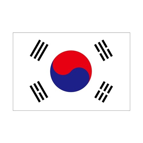 ビッグフラッグ小 国旗 韓国 小(販促用