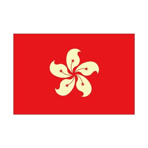 ビッグフラッグ小 国旗 香港 小(販促用