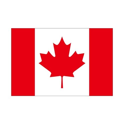 ビッグフラッグ小 国旗 カナダ 小(販促