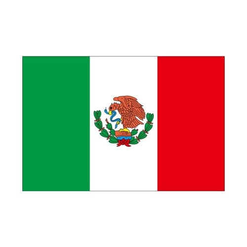 ビッグフラッグ小 国旗 メキシコ 小(販