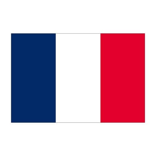 ビッグフラッグ大 国旗 フランス 大(販