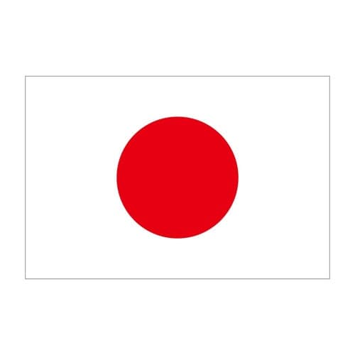 ビッグフラッグ大 国旗 日本 大(販促用
