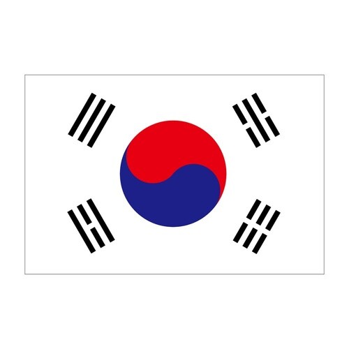 ビッグフラッグ大 国旗 韓国 大(販促用