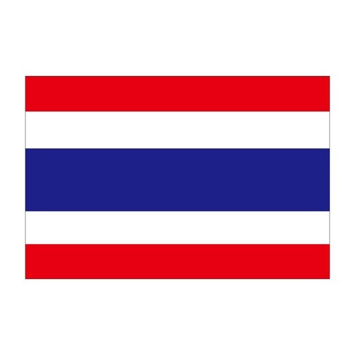 ビッグフラッグ大 国旗 タイ 大(販促用