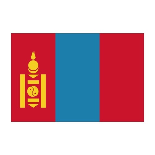 ビッグフラッグ大 国旗 モンゴル 大(販