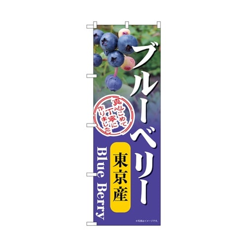 のぼり ブルーベリー 東京産 54990