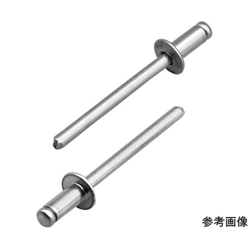 ブラインドリベット(1000本入) NA