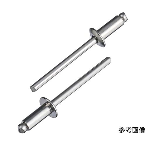 ブラインドリベット(1000本入) NS