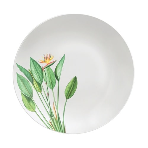 グラジエラ ディナープレート 25cm