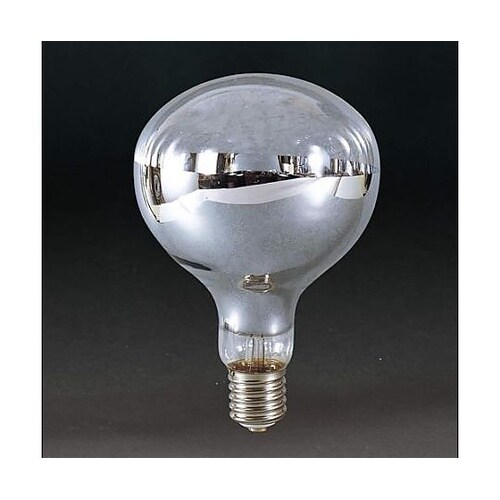 AC110V/500W レフ電球 EA8