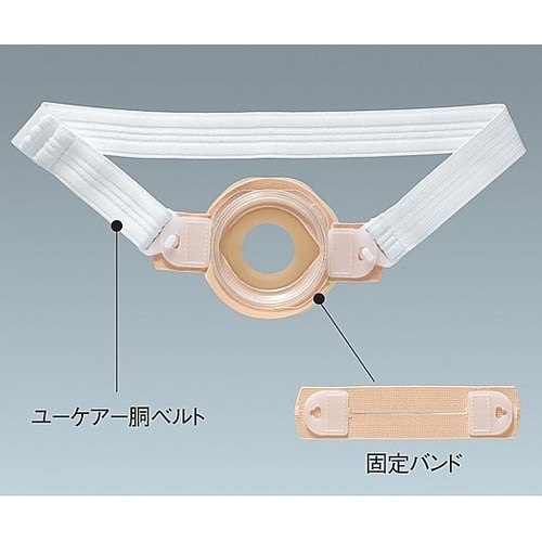 固定ベルト・2 交換用固定バンド 1袋(