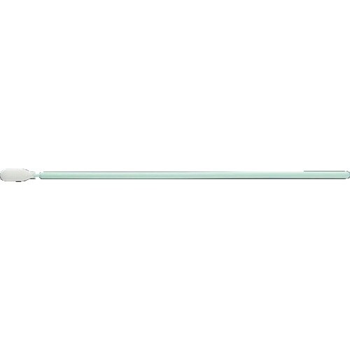 AS APクリーンスティックAP162FCT