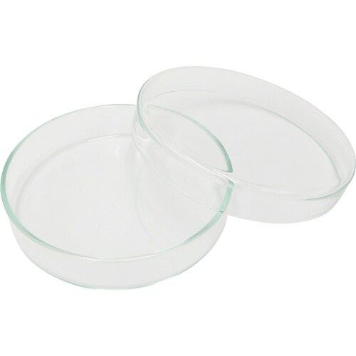 AS スタンダードシャーレ100/20