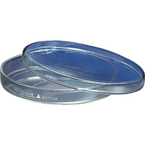 AS ペトリ皿3160−60