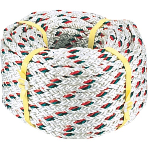 DENSAN テトロンロープ10×100