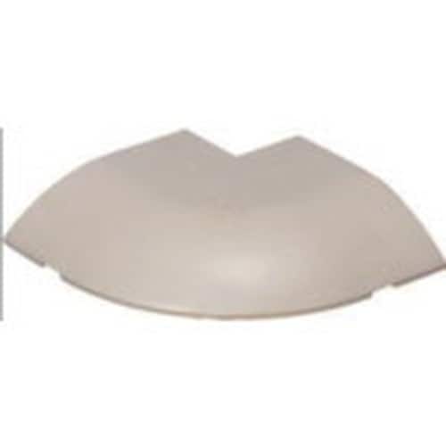 未来 隅角ワゴンモール(出ズミ)