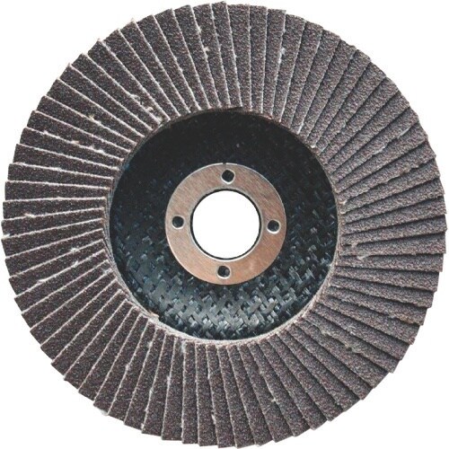 ボッシュ 研磨ディスク 125mm Vシリーズ バ