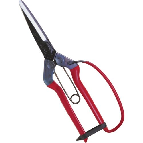 チカマサ 青果鋏ガード付