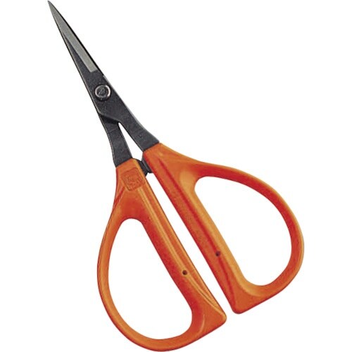 チカマサ フローリストS