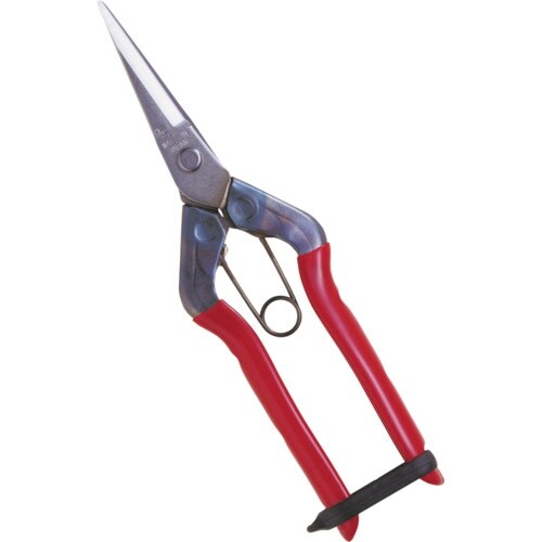 チカマサ ステンレス芽切鋏