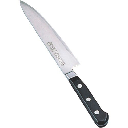 TKG SAパウダープロ100 ペティーナイフ 1