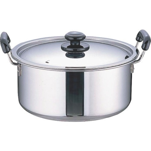 TKG SAステンレス プラ柄 厚板実用鍋 22c