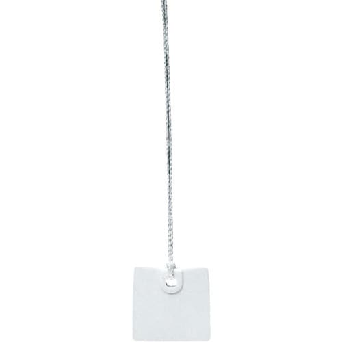 未来 カラーエフR (プラスチック製・線名札) 2